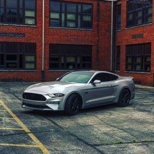 Meet your Posher, Bobby